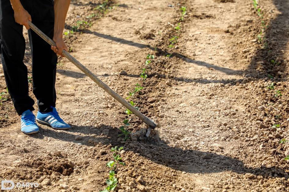Dehqon va fermerlar uchun maxsus “dala daftari” joriy etiladi