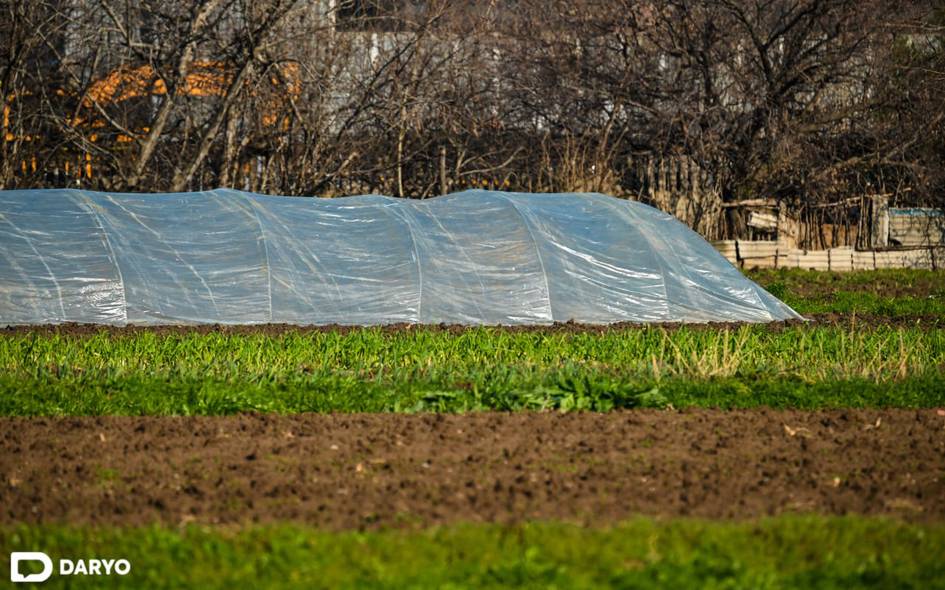 В Ташкенте ограничат создание новых теплиц — куда их перенесут