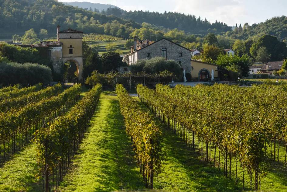 Ўзбекистонликлар Италияга мавсумий ишга юборилади