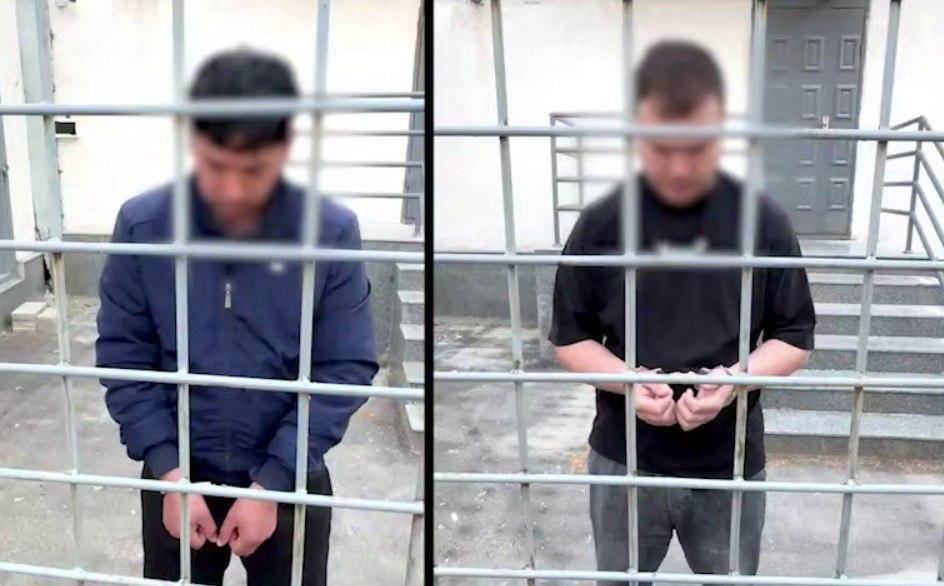 В Ташкентской области арестовали мужчин, истязавших кошек