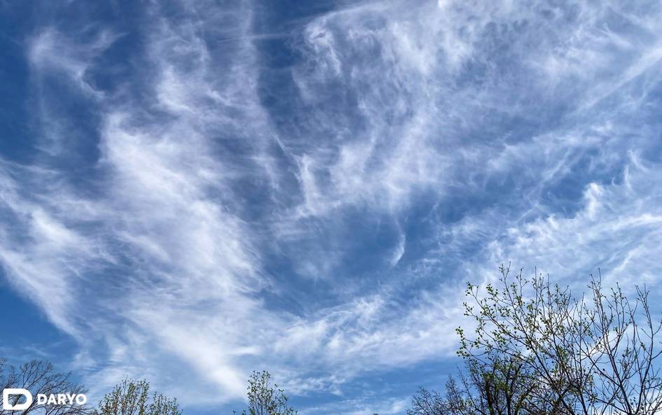 Ўзбекистонда бу ҳафта илиқ об-ҳаво бўлади, айрим жойларда ёмғир ёғади