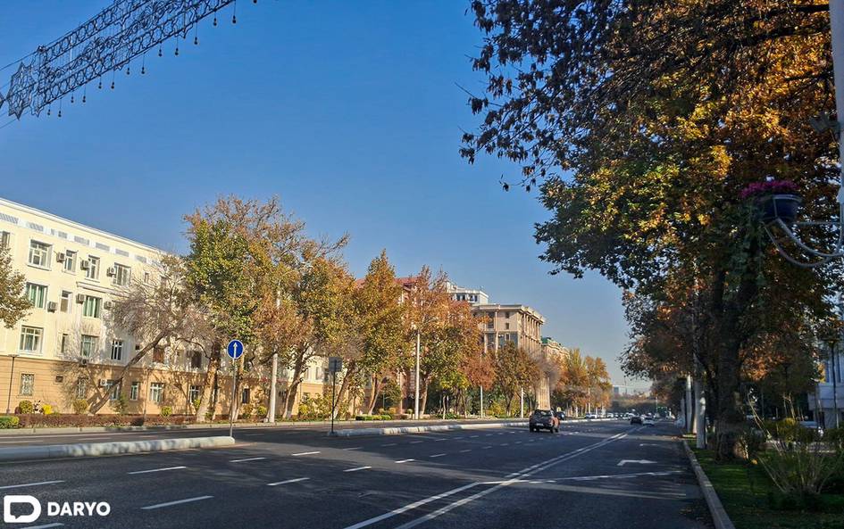 Ўзбекистонда давлат органлари ходимлари айрим кунларда хизмат автомобилидан фойдаланиши тақиқланади