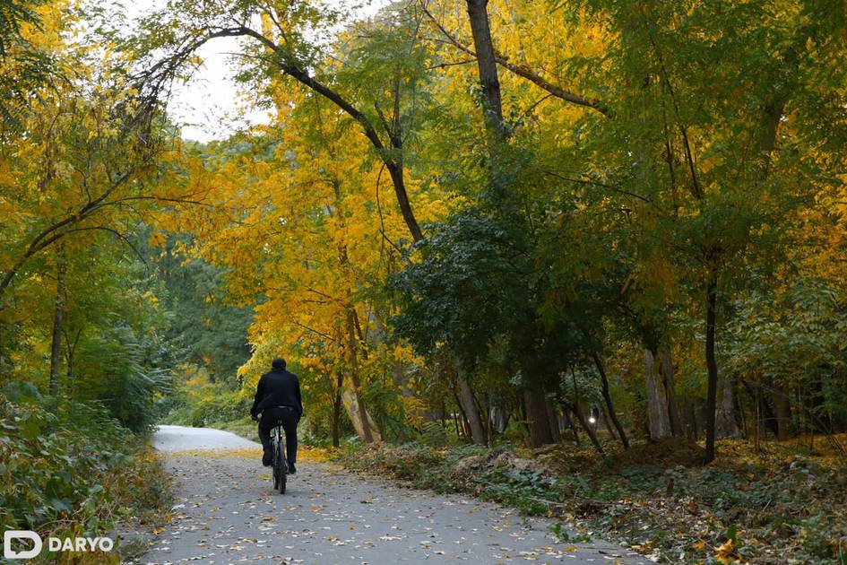 В Ботаническом саду в Ташкенте запретили езду на велосипедах и самокатах