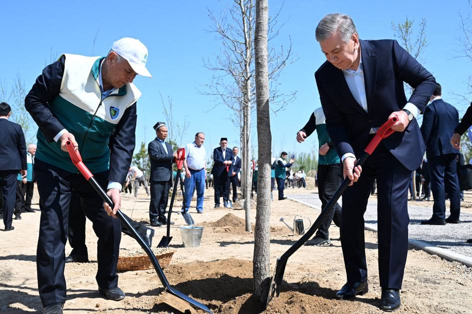 Шавкат Мирзиёев посадил дерево в Национальном дендрологическом парке (фото)