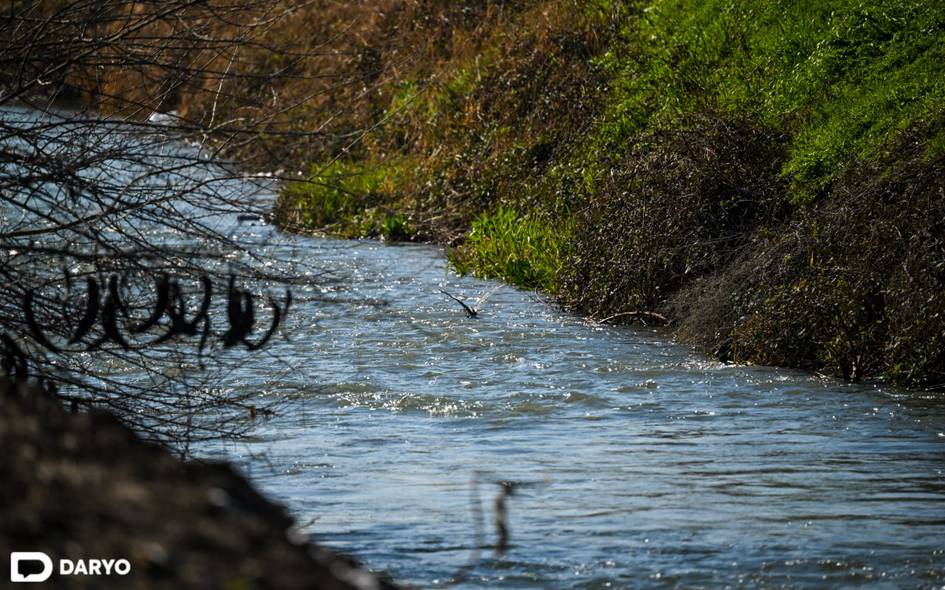O‘zbekistonda ariq va irrigatsiya tizimlarini ko‘mib tashlaganlar endi jarimaga tortiladi