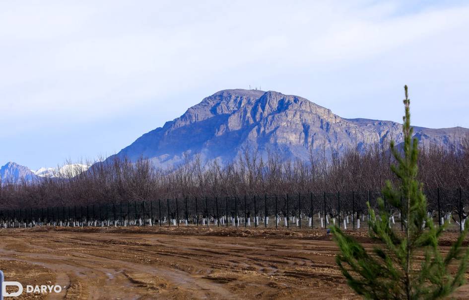 Земли для бизнеса будут выставляться на аукцион с готовым проектом и нужными разрешениями