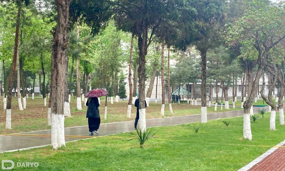 O‘zbekistonda 8-aprel kuni qanday ob-havo bo‘lishi ma’lum qilindi