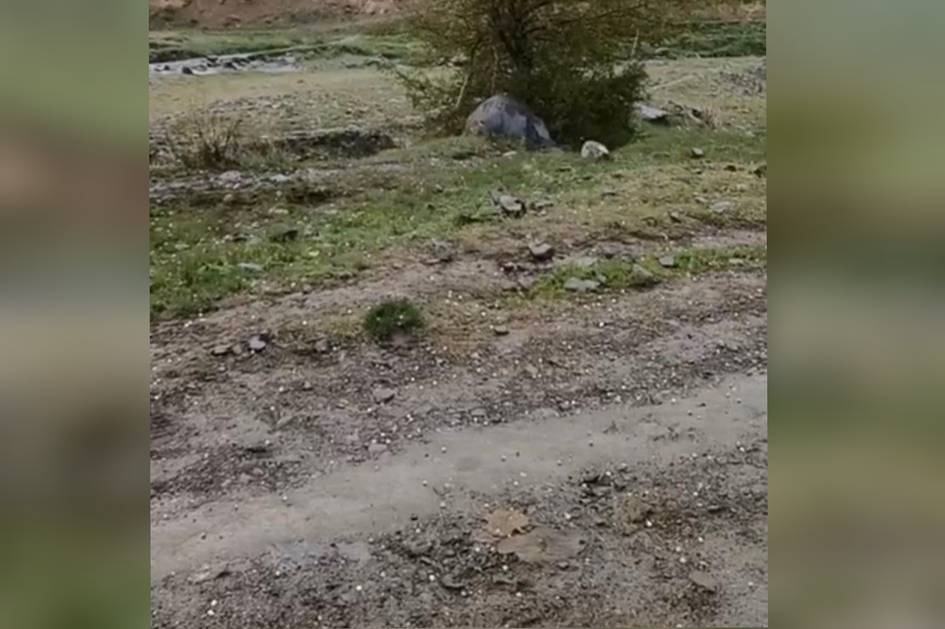 В Джизакской области прошел град диаметром до 8 мм (видео)