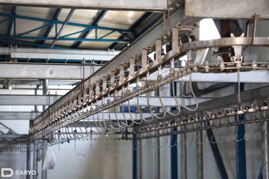 Маош 1700 евро: ўзбекистонликлар Германияга қассобчиликка таклиф этилмоқда