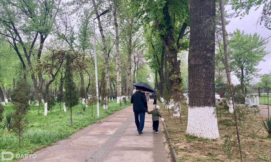 В Узбекистане ожидаются резкое похолодание и дожди