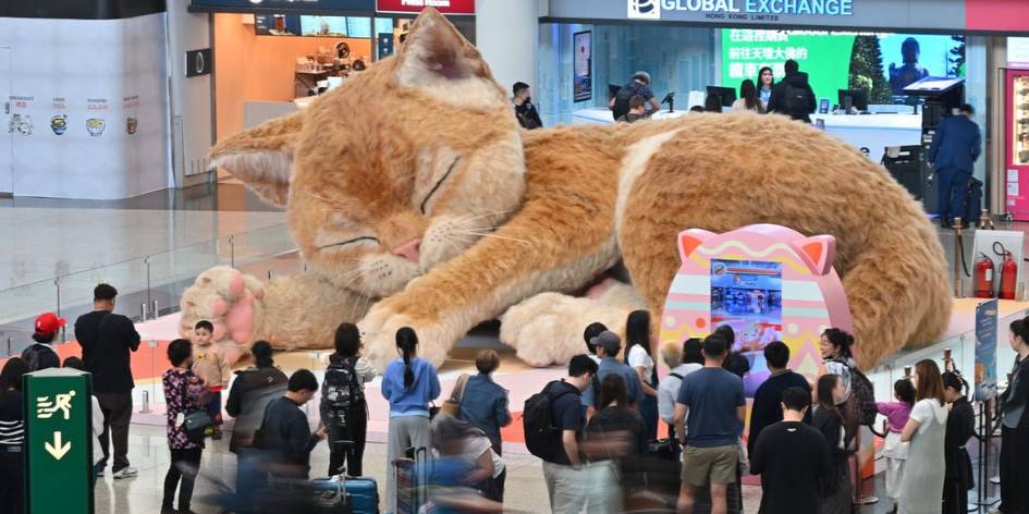 Gonkong aeroportida 8 metrli malla mushuk paydo bo‘ldi — u quloqlarini qimirlatib, xurillaydi