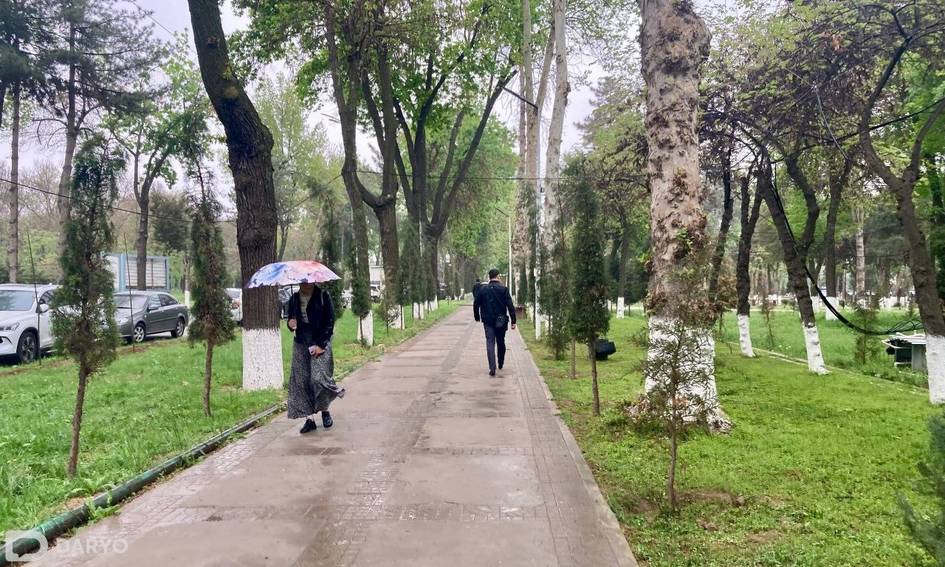 15 апреля в Ташкенте ожидаются дожди и понижение температуры