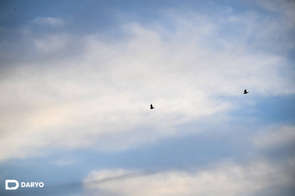 Сегодня по большей части Узбекистана будет без осадков