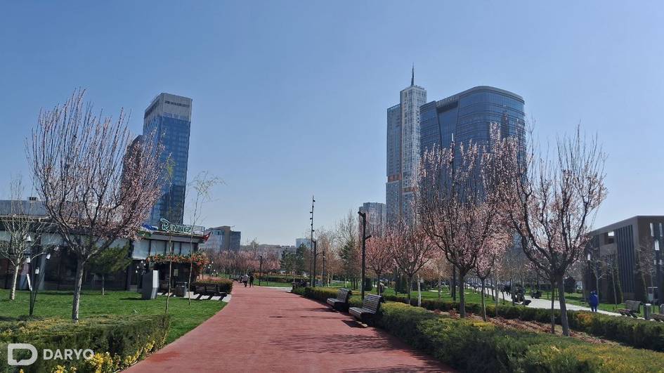 Сегодня в Узбекистане потеплеет до +25 градусов