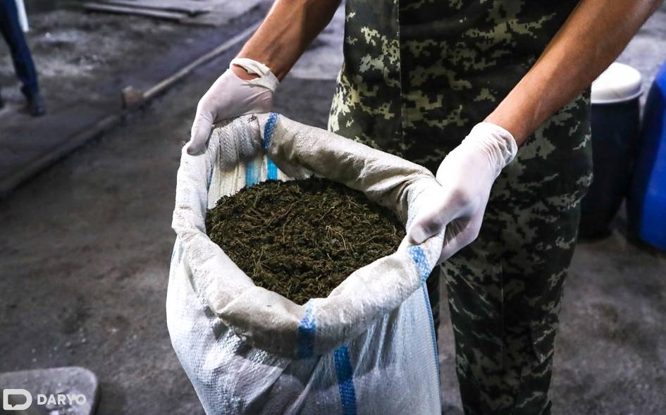 Треть наркопреступлений в Узбекистане совершает молодежь