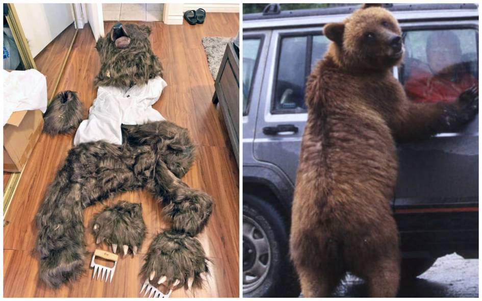 Firibgarlikning yangi turi: amerikalik erkak sug‘urta badalini undirish uchun ayiq kostyumidan foydalandi