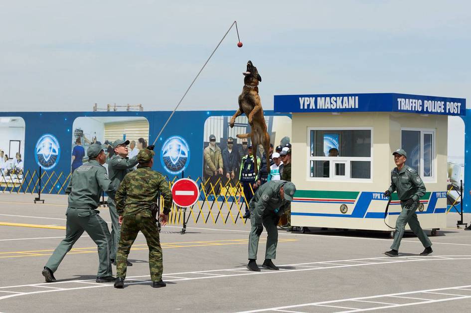 В Узбекистане за 2025 год служебные собаки выявили 1,3 тонны наркотиков