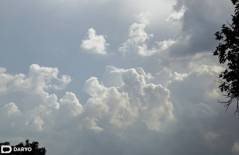 “O‘zgidromet” 23-aprelda yomg‘ir yog‘ishi kutilayotgan hududlarni e’lon qildi