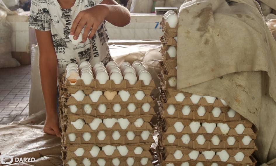 Qozog‘iston 6 oyga tuxum importini taqiqladi