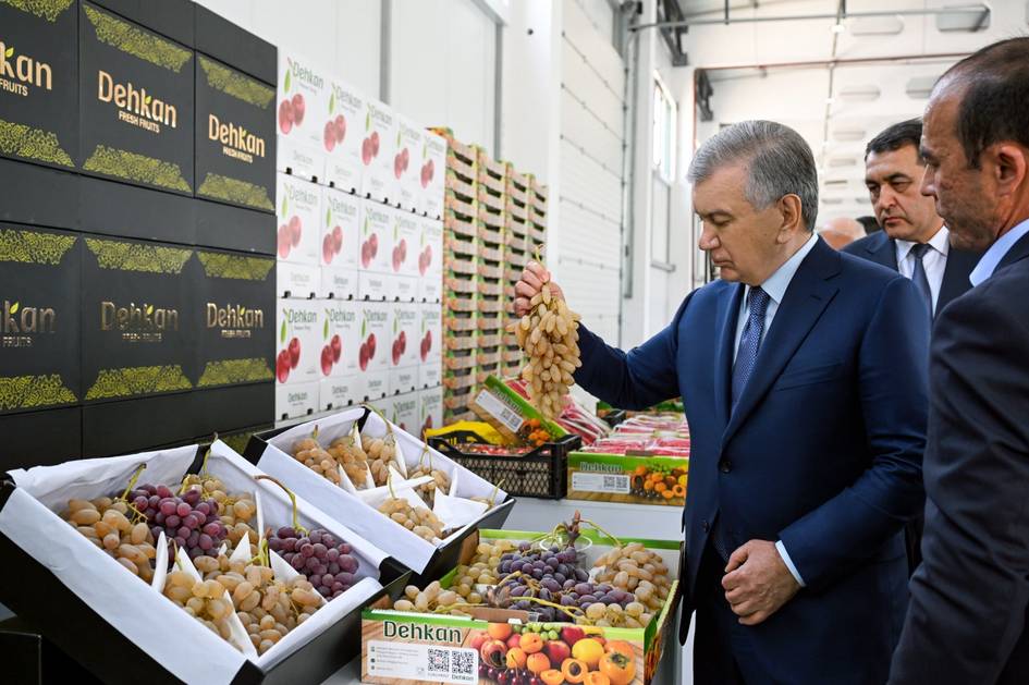 В Куве жителей учат зарабатывать до 250 млн сумов с 10 соток приусадебного участка