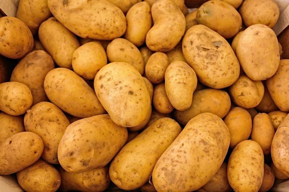 Qozog&lsquo;iston O&lsquo;zbekistonga kartoshka eksportini to&lsquo;xtatdi