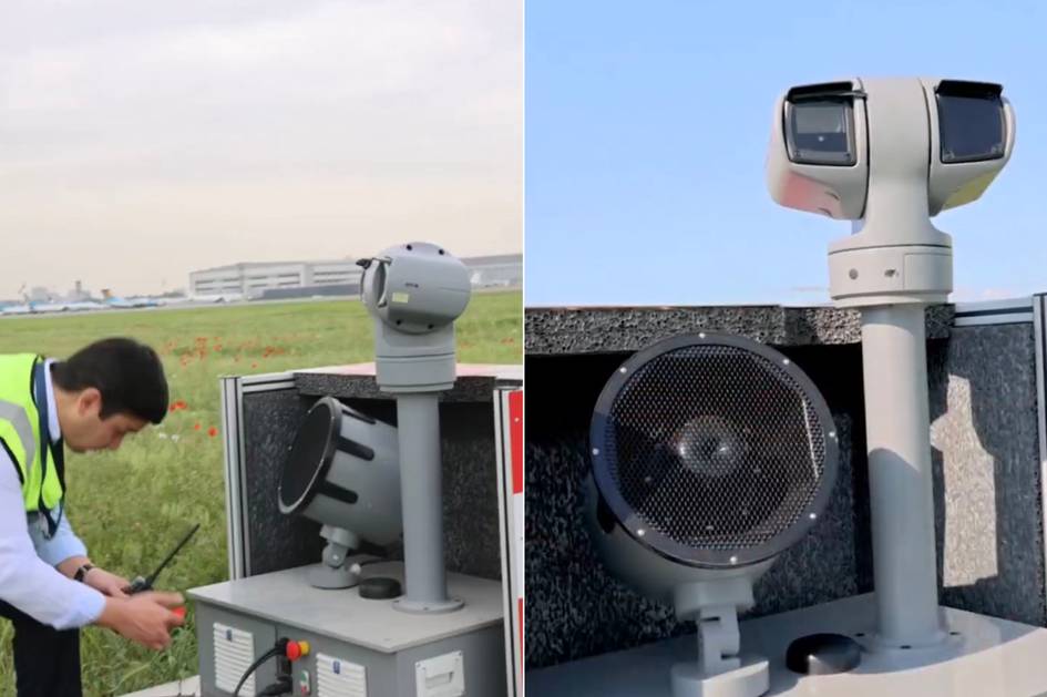 Искусственный интеллект поможет защитить самолеты от птиц в аэропорту Ташкента