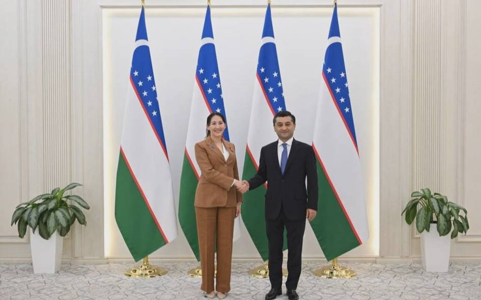 Uzbekistan, Japan discuss expanding strategic partnership, green and digital cooperation
