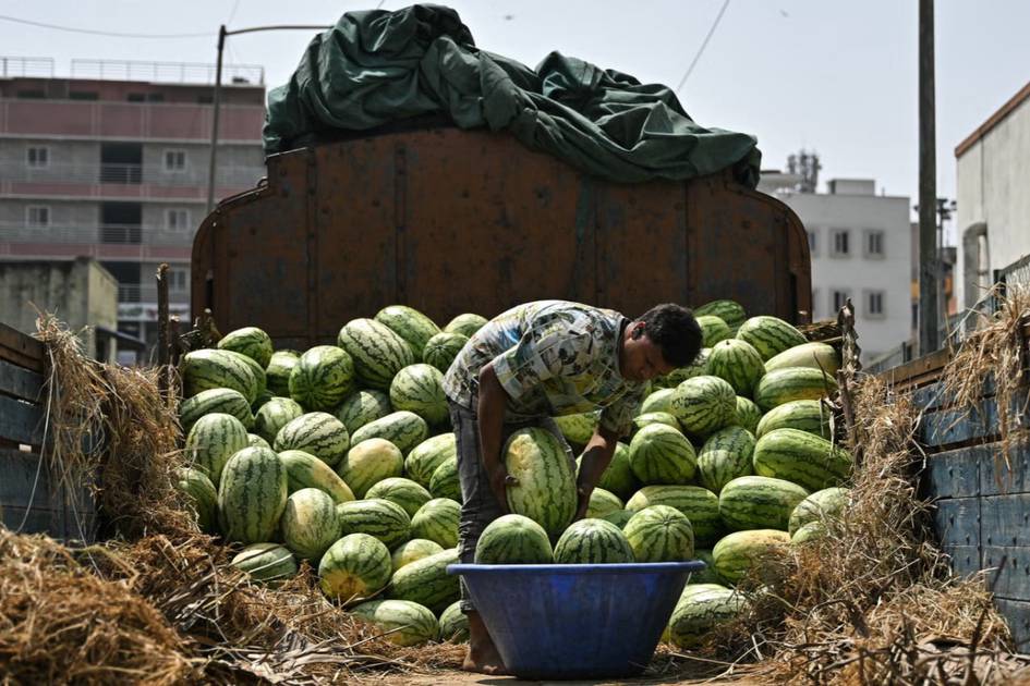 Hindistonda bir oila zaharlanib o‘lgani ortidan tarvuz savdosi tushib ketdi