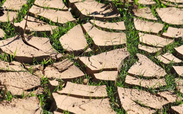 Uzbekistan advances desertification strategy with Green Samarkand project