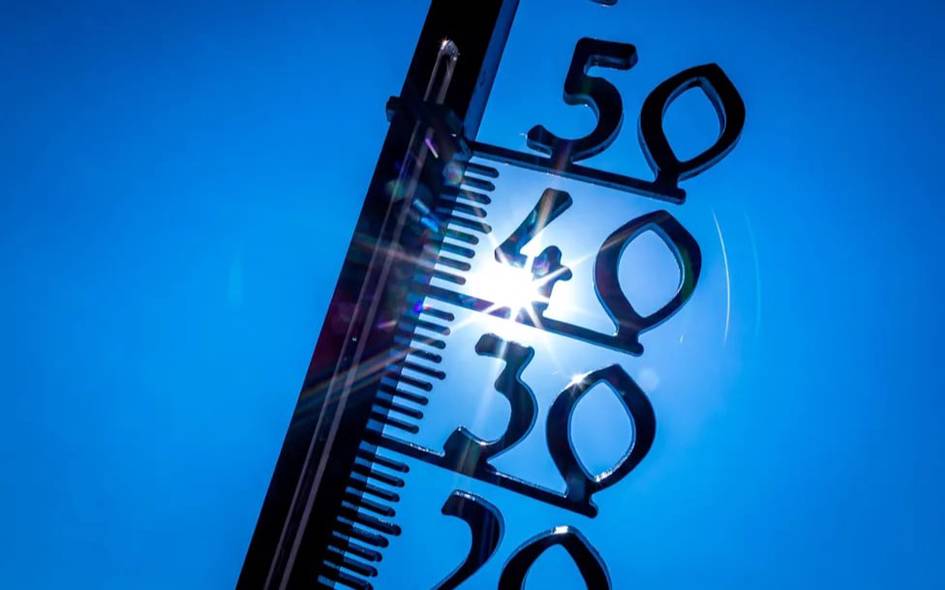 Германияда иссиқдан 5000 дан ортиқ одам вафот этди