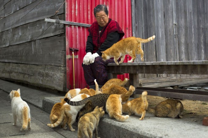 Yalangoch kattalar gozalligi