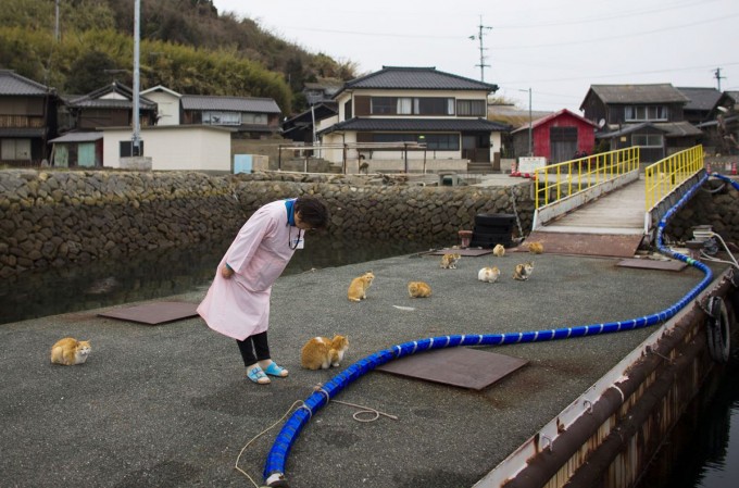 Porno buvi massaj Ogizda klitoris bilan onlayn porno tomosha qiling