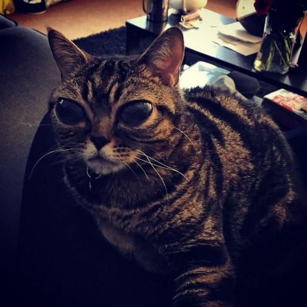 Osib chiqqan etuklarning fotosurati Passion porno onlayn tomosha qiling