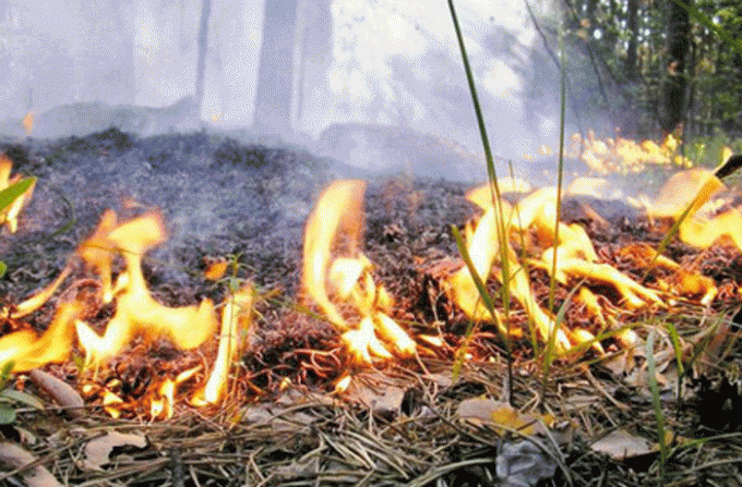 Jinsiy ichki kiyimdagi katta olchamli ayollar