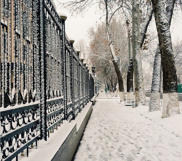 Ikki kishi kastingda sikishyapti muzlatgichda yalangoch donuts