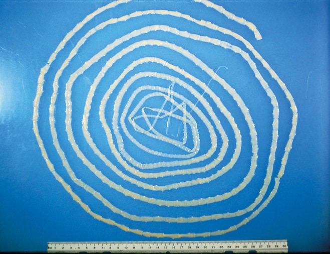 Bekor qilingan gozal qizlar porno