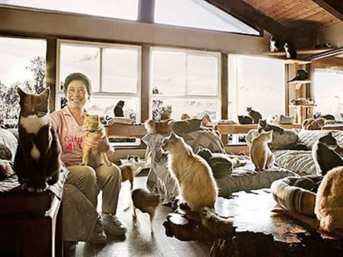 Avtomobil porno boyicha guruh Gozal keksa ayollarning mushuklari