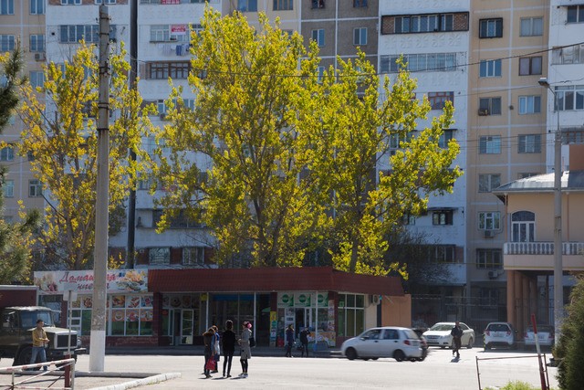 Foto: “Gazeta.uz”