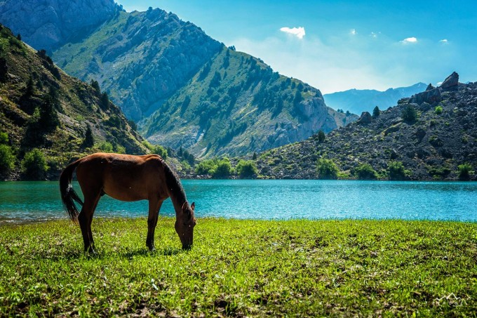 Er va xotinning joy almashishi haqida porno filmlarni tomosha qiling