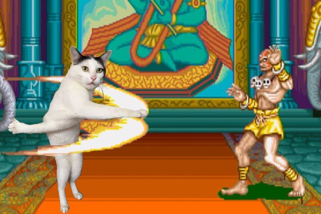 Kop qizlar ozlarining mushuklarini fotosuratlarda korsatishadi. Kop qizlar ozlarining mushuklarini fotosuratlarda korsatishadi.