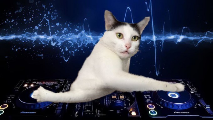 Porno dunyoda katta sik Endi Miassda kim jinsiy aloqa qilishni xohlaydi?