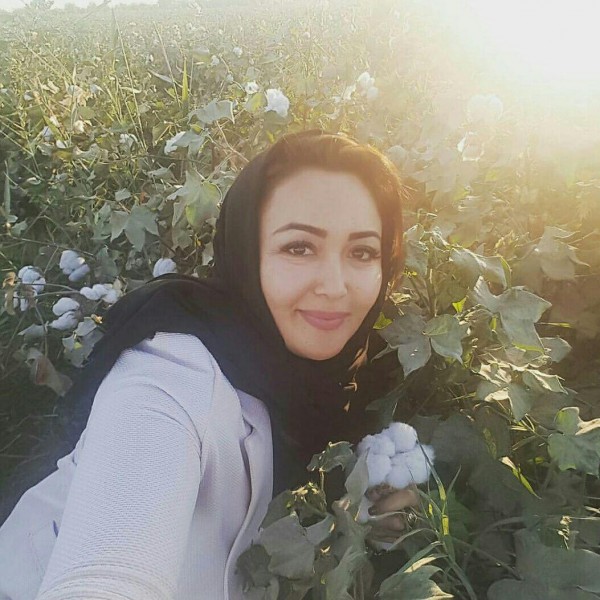 Jinsiy aloqa android