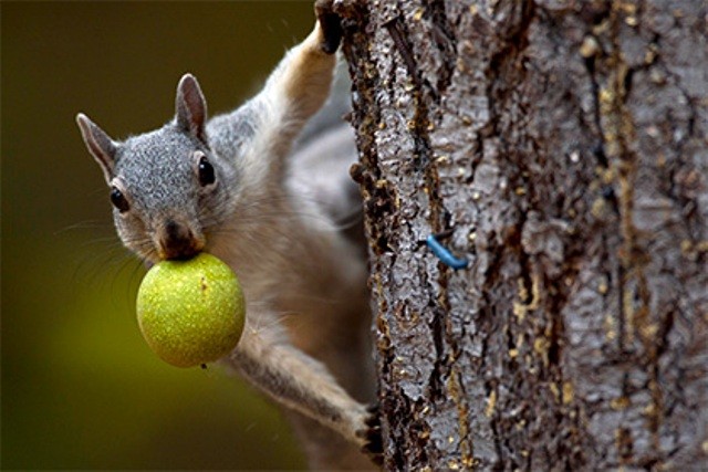 Seks videolar va erotik rasmlar