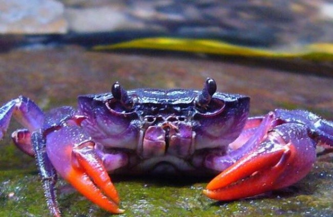 Qishloq porno hikoyalar Homilador ayol bilan jinsiy aloqa porno video