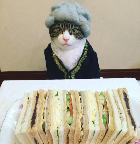 Yaponiyalik ayolning mushukini tomosha qiling