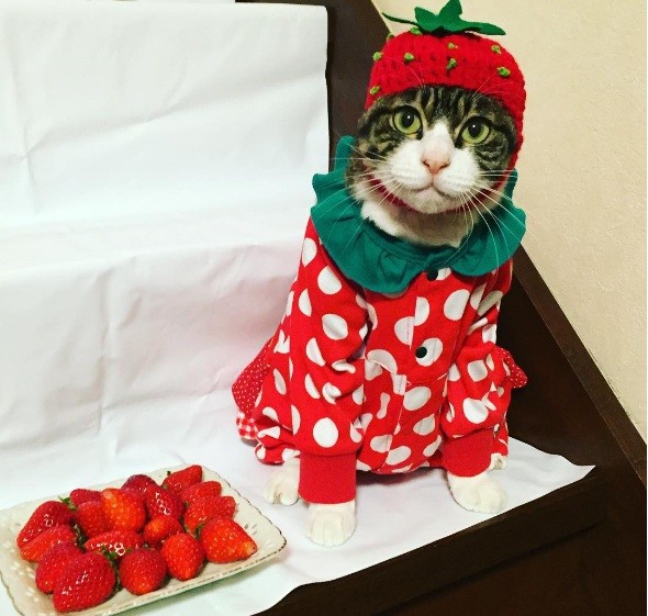 Sheila Mari porno rasmlar