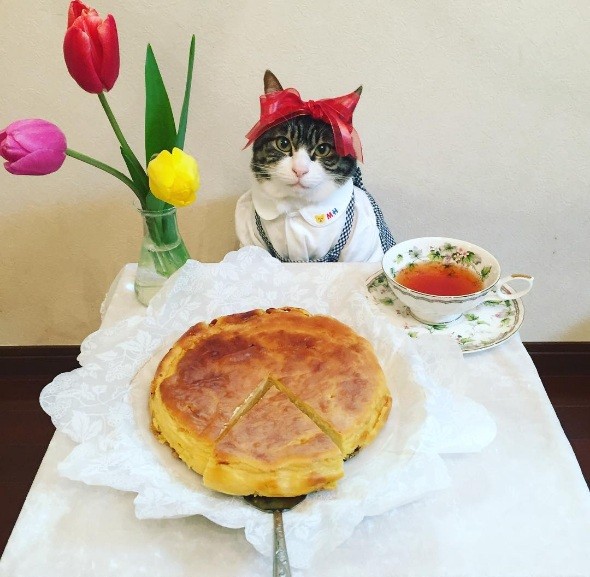 Embri Prada bilan porno