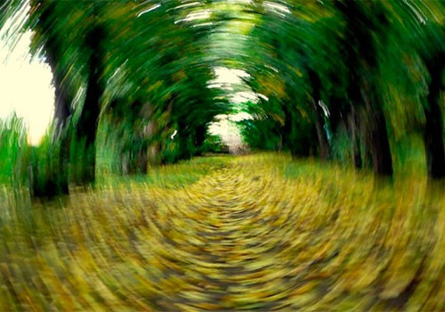 Qishloq hojatxonasi video