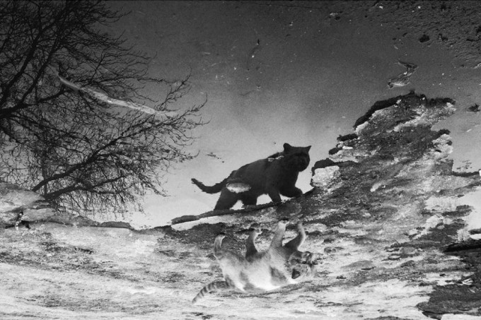 Yalangoch Mixail Porechenkov