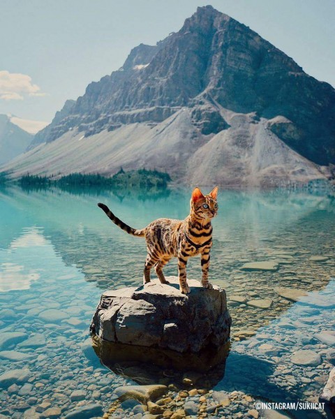 Onam oglini jinsiy aloqada bolishga kondiradi